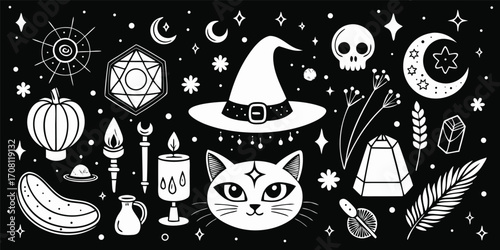 Halloween mystical black and white vector illustration witchy elements witch hat crescent moon cat skull pumpkin candle spiritual theme