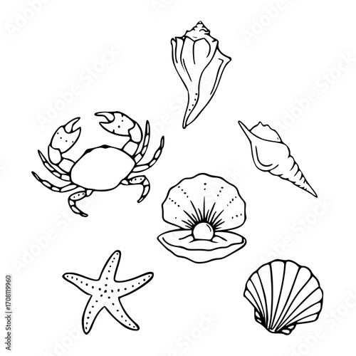 ocean life elements vector set