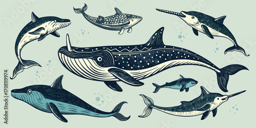 Illustrated collection of marine animals including whales,dolphins,narwhals,and sharks in a hand drawn style