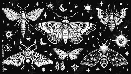 Moths butterflies and celestial elements a monochrome vector pattern featuring stars and moons delicate and detailed wings perfect for mystical designs and illustrations