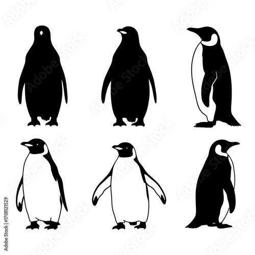 Vector art of silhouette of penguins vector illustration of antarctic birds in different poses, standing and walking in a group