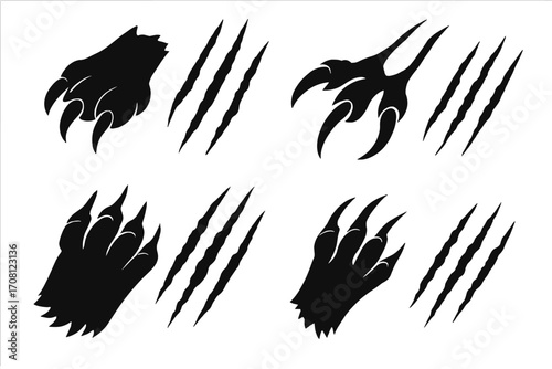 Vector set of animal claw scratch marks. Black silhouette collection of wild predator paws. Bear, tiger, dragon, or monster claws ripping. Wild beast tattoo design element.