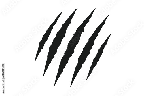 Claw scratches silhouette vector icon. Animal claw marks. Wild beast attack trace. Tiger, lion or bear rip marks. Predator slash illustration. Monster tear effect. Danger horror.