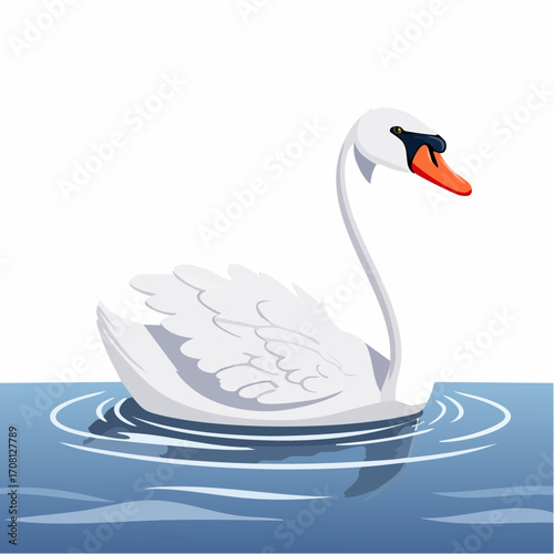 Elegant vector illustration of a graceful white swan swimming serenely on calm blue water with subtle ripples