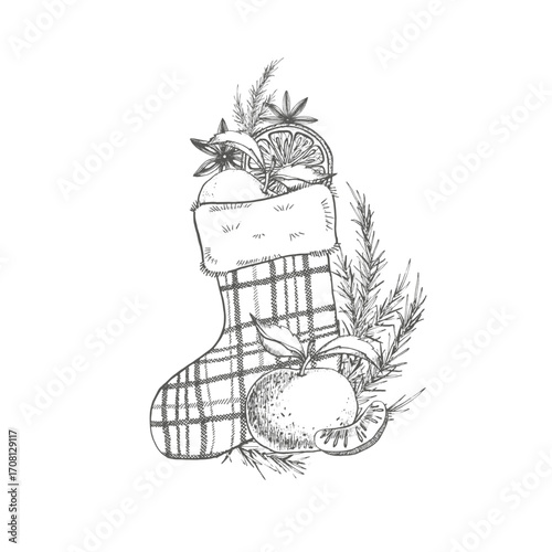Christmas stocking with slice of mandarin, spruce brunch, star anise. Plaid sock with sweets. Graphic cozy illustration for New Year card, decoration, sticker, packaging, textile. Vector sketch