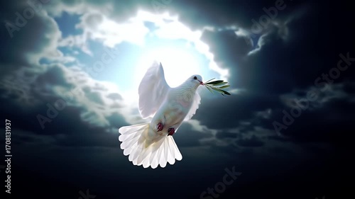 White Dove Flying with Olive Branch Against Dramatic Cloudy Sky Symbolizing Peace and Hope
