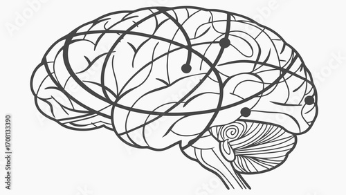 Stylized Brain Illustration with Circular Connections and Distinct Anatomical Features
