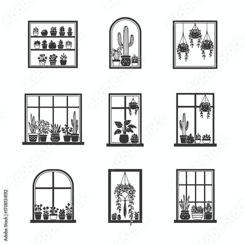 Vector art of collection of indoor plants in pots on window sills set of various potted houseplants in different windows