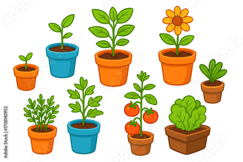 Set of cute cartoon garden plants in pots showing various growth stages from seedling to flowering sunflower, fruiting tomato and herbs. Vector illustration for gardening concept.
