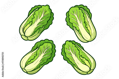 Chinese cabbage vector illustration set. Fresh Napa cabbage cartoon icon collection. Healthy organic green vegetable for grocery, market, diet food design element.