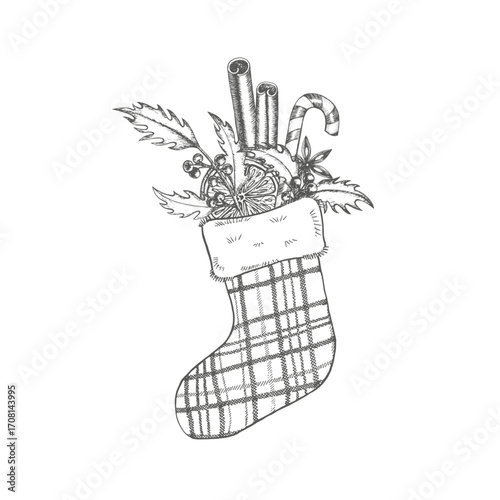 Christmas stocking with holly, candy cane, cinnamon stick, star anise, slice of mandarin. Sock with winter spicy sweets. Graphic illustration for New Year decoration, card, sticker, packaging. Vector