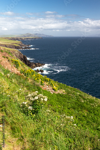 View of the coast of the sea 1