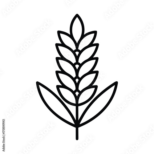 Amaranth grain outline icon simple food ingredient symbol