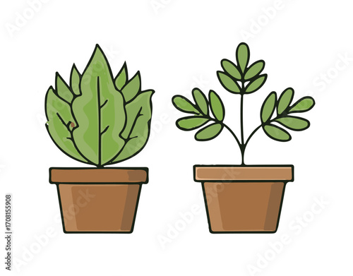 Hand-drawn monstera plants situated in a pot. This illustration reflects Scandinavian style, providing a modern and elegant aesthetic for home decor. Vector design of floral elements.