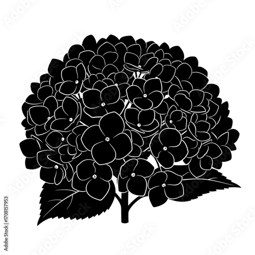 black and white tree