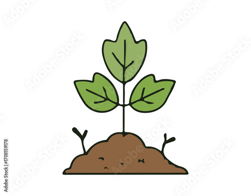 vector illustration of a green plant