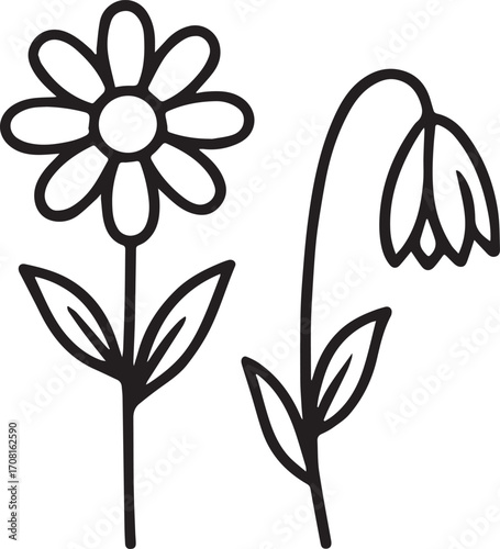 Daisy and Campanula Bloom: Depicts a vibrant daisy alongside a gracefully drooping campanula, each delicately rendered in simple, yet elegant, strokes.
