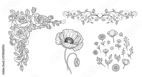 Vector pack of floral decorative elements, elegant line art flowers modern botanical ornaments clean nature symbols isolated