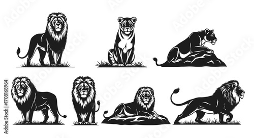 Lion, lioness, silhouettes, standing, walking, sitting, reclining, majestic, wild, animal, vector, illustration, savannah, predator, mane, strength, posture, feline, graphic, design
