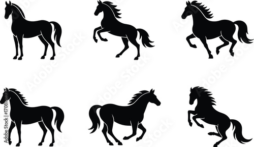 Horse, silhouettes, rearing, running, standing, black, vector, illustration, animal, motion, mane, tail, wild, stallion, pose, graceful, dynamic, equine, graphic, design