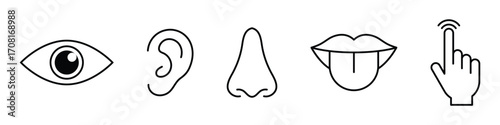 Human senses icon set. Vision eye, smell nose, hearing ear, touch hand, taste mouth with tongue. Simple line icons in black. Five senses of human nervous system.