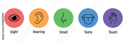 Human senses icon set. Vision eye, smell nose, hearing ear, touch hand, taste mouth with tongue. set of human five senses icon. Vector illustration. EPS 10