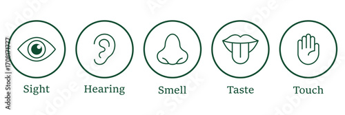 Five human senses editable stroke outline icons set. Flat vector illustration of human senses including ear, eye, nose, lips, and hand in minimalist design style. Five senses of human nervous system