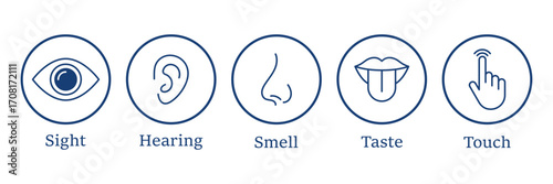 Five human senses editable stroke outline icons set. Flat vector illustration of human senses including ear, eye, nose, lips, and hand in minimalist design style. Five senses of human nervous system