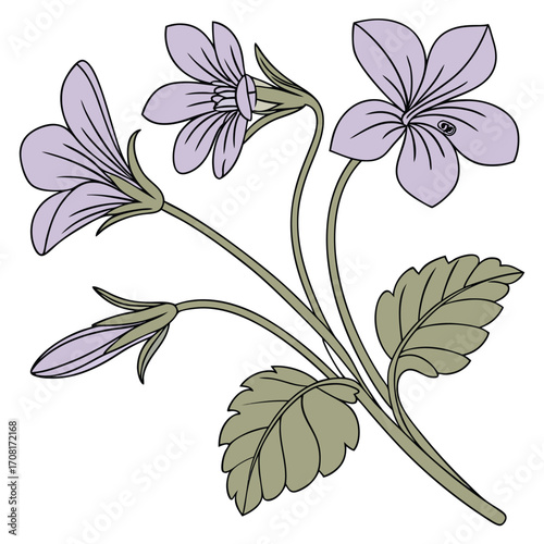 Violet Bloom illustration vector design