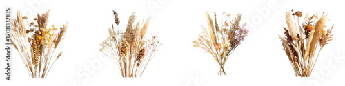 Bouquets of dried flowers pampas grass in a row