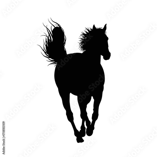 silhouette of a horse