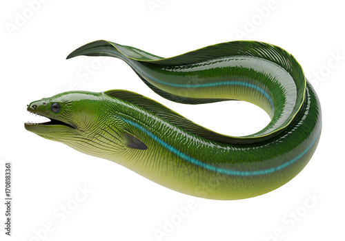 A vibrant green eel, detailed and sleek, coils gracefully against a stark black backdrop.