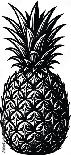 hand drawn pineapple vector illustration