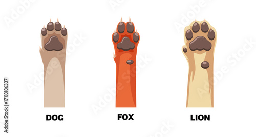 Paw print comparison of dog, fox, and lion in cartoon style