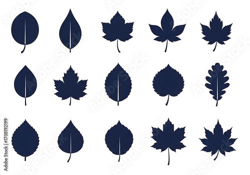 Assortment of Dark Blue Leaf Silhouettes leaves nature