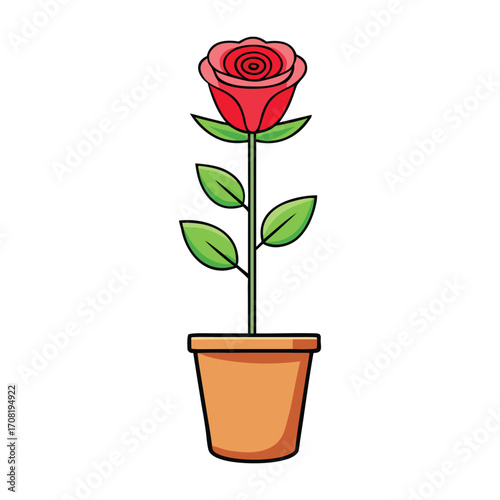 a rose plant in a pot on a white background