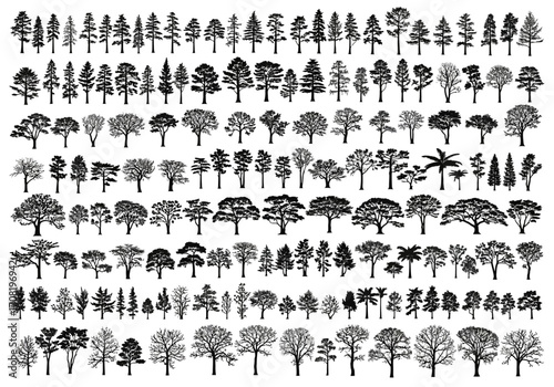 Vector art of extensive collection of diverse tree silhouettes in black and white, featuring various species like pine, oak, palm, and more, arranged in rows