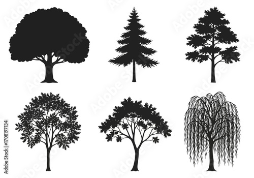 Vector art of collection of six distinct tree silhouettes, including an oak, a pine, and a weeping willow, isolated on a clean, ideal for design elements and nature illustrations