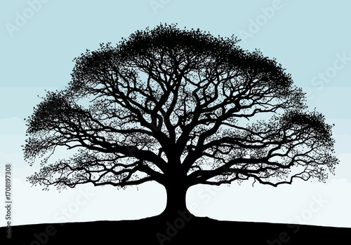 Vector art of a striking silhouette of a mature, broadcanopied oak tree with a dense network of branches, set against a soft, gradient blue sky, symbolizing natures grandeur and tranquility