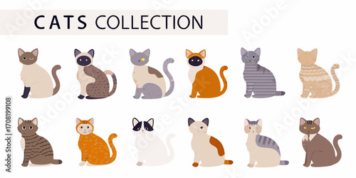 Collection Of Diverse Cat Breeds Sitting cats domestic animals