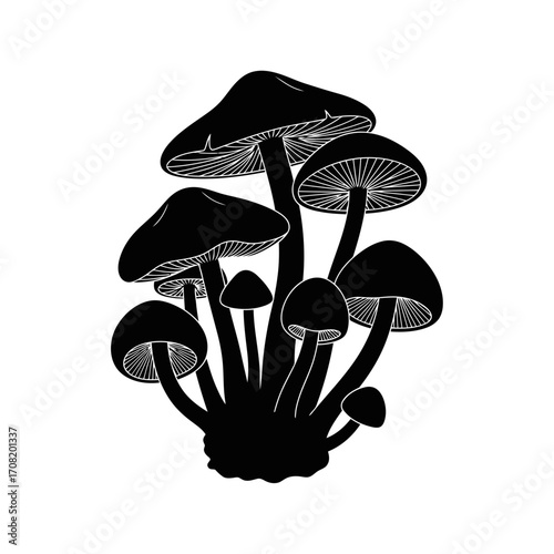 Cluster of mushrooms silhouette isolated on white background