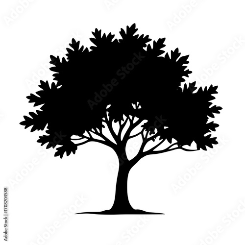 Minimalist black silhouette of a tree with full canopy on white background
