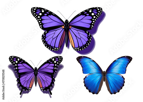 Realistic Colorful Butterfly Set Blue and Purple Butterflies for Nature and Decor Designs