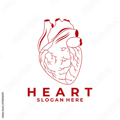 Heart logo design vector template. Heart line logo icon. heart organ health logo