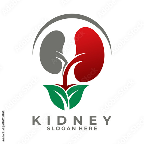 Kidney with leaf logo design vector template. Kidney nature logo design icon