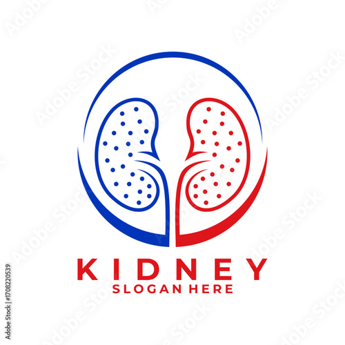 Modern Kidney dot and line art logo design vector template