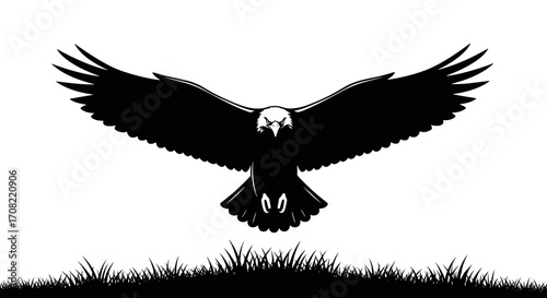 Black hawk soaring above grass in minimalist silhouette style  
