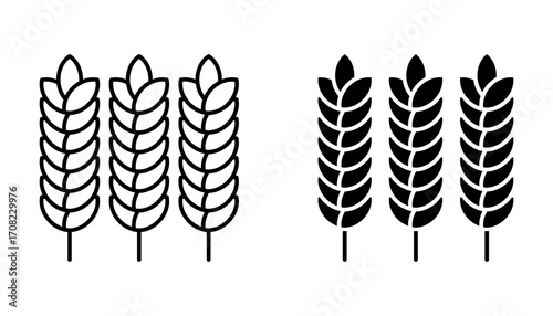 Farm wheat ears Icon set .Symbol isolated white background. vector illustration. color editable.