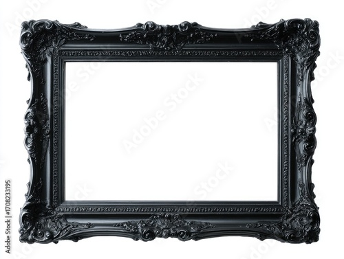 Black ornate picture frame (11)