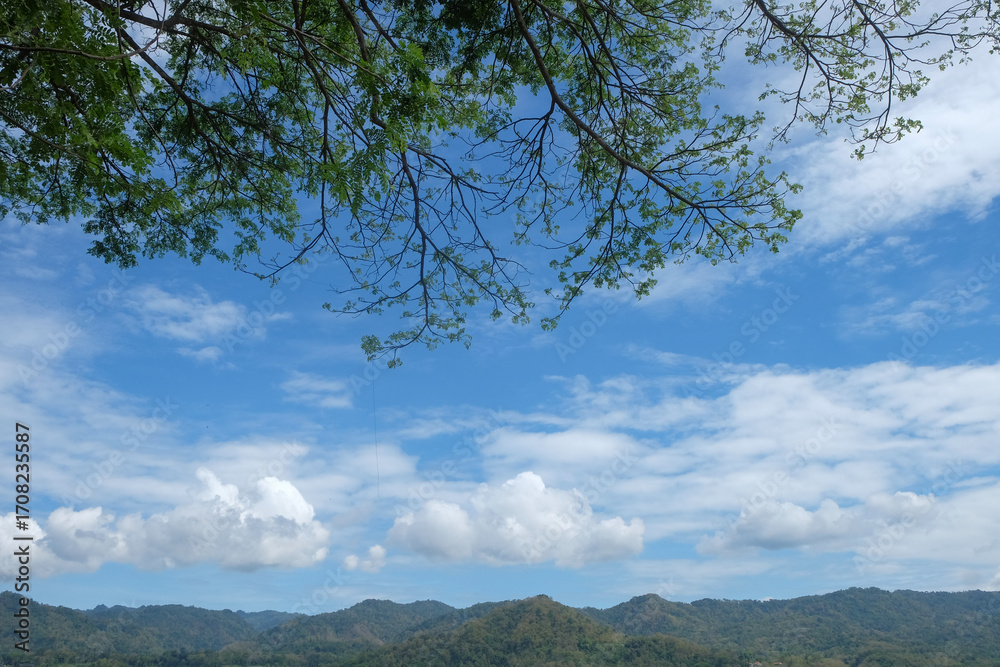 Fototapeta premium Lush tree foliage against sunny blue sky with fluffy clouds in natural countryside. Vibrant green canopy under clear weather. Ideal for nature, travel, and environmental concepts